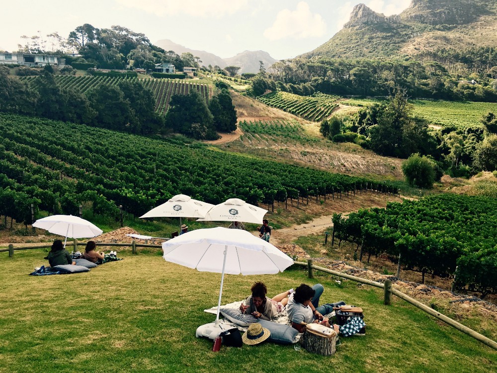 wine tasting tours cape town