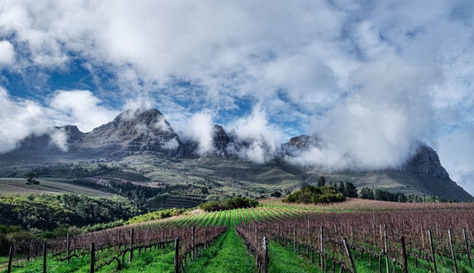 Best Wine Tasting Farms in Cape Town Your Way To Travel