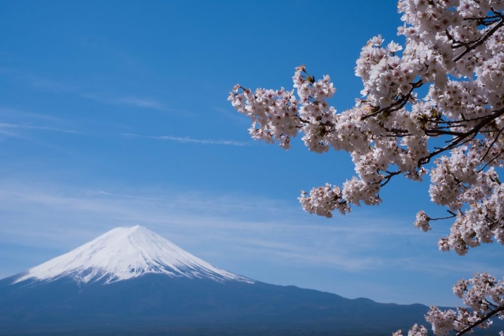 Cherry Blossom Season Japan A 2 Week Itinerary Your Way To Travel