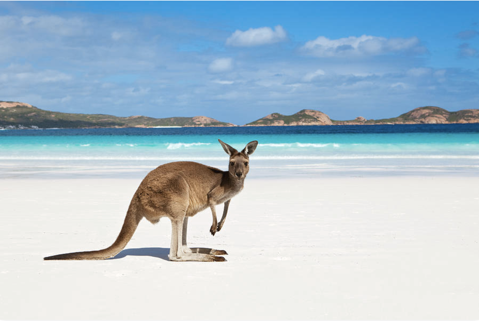travel guides kangaroo island